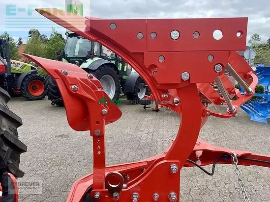 Arado - Maschio - unico m passo 4+