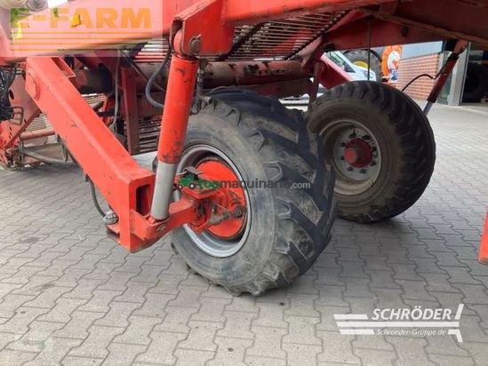 Cosechadora - arrancadora de patata - Grimme - gz 1700