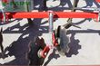 Cultivador - Ziegler - fieldprofi 3003 mulchgrubber - grubber