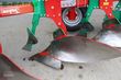 Arado -  - maxgreen 5 schar pflug - vorführmaschine