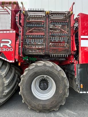 Cosechadora de Cereal - Grimme - rexor 6300 platinum