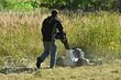 Cortacésped manual - Etesia - attila ah75