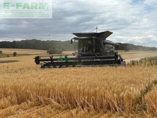 Cosechadora de Cereal - Massey Ferguson - ideal 8 pl