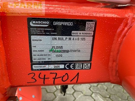 Arado - Maschio - unico m passo 4