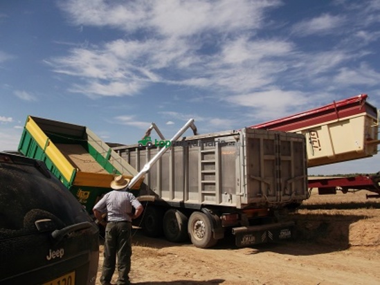 Tornillo sinfin para remolque agrícola