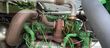 Cosechadora de Cereal - John Deere - 8600i