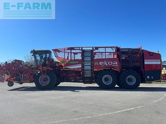 Cosechadora de Cereal - Grimme - rexor 6300 platinum