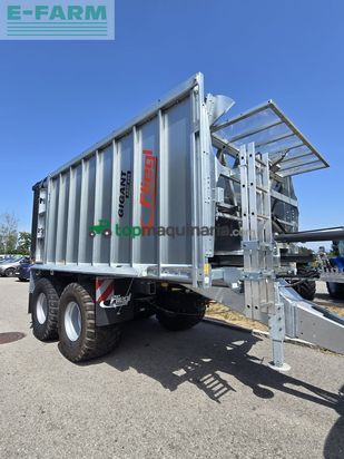 Cinta transportadora de forraje - Fliegl - asw 256 compact fox