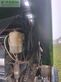 Empacadora gigant - Deutz-Fahr - mp 122 rundballenpresse