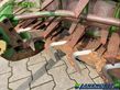 Cabezal - Krone - easycollect 600-2