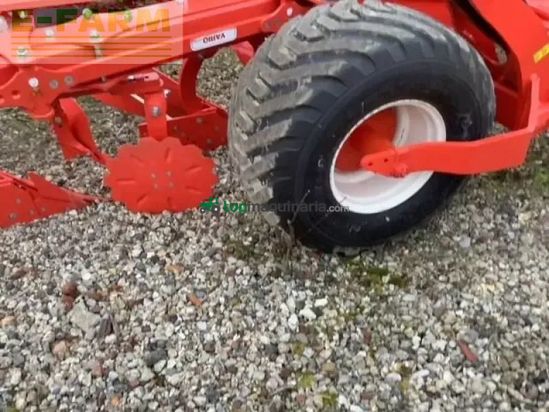 Arado - Maschio - mirco 7