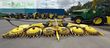 Cabezal - John Deere - 490 Plus