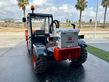 Telescopica Terex Telelift 2306