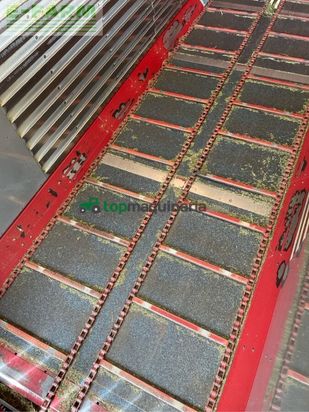 Cinta transportadora de forraje - Strautmann - terra-vitesse