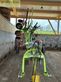Rastrillo - Claas - liner 1250