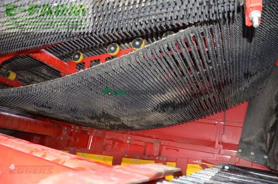 Cosechadora - arrancadora de patata - Grimme - evo 280 clodsep nonstop