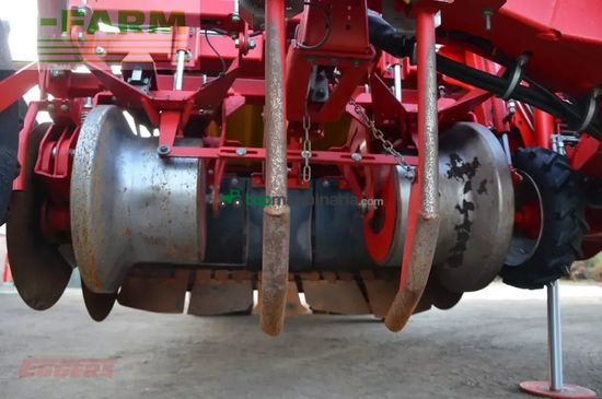 Cosechadora - arrancadora de patata - Grimme - evo 280 clodsep gen ii