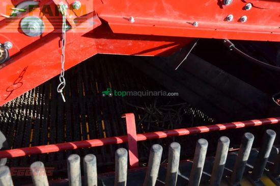 Cosechadora - arrancadora de patata - Grimme - evo 260 clodsep