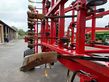 Cultivador - Horsch - cruiser 6 xl