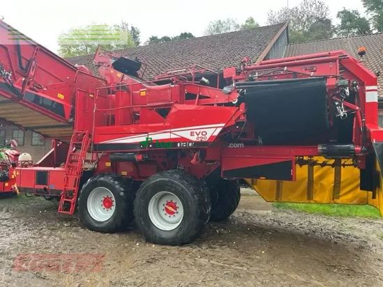 Cosechadora - arrancadora de patata - Grimme - evo 290 clodsep