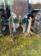 Tractor agrícola - Valtra - a 84