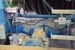 Riego -  - fm 4800h 110x700m