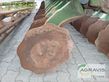 Grada de disco - Amazone - catros 6001-2