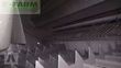 Cosechadora de Cereal - Claas - lexion 530