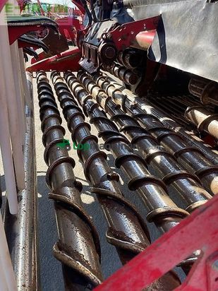 Cosechadora de Cereal - Grimme - rexor 6300 platinum