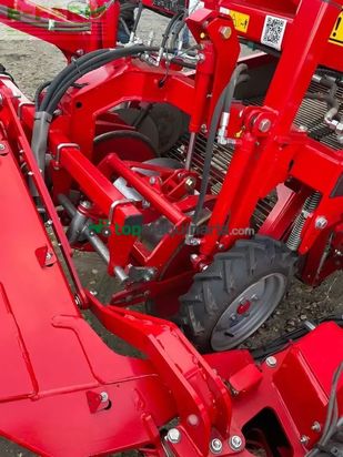 Cosechadora - arrancadora de patata - Grimme - se 260 ub