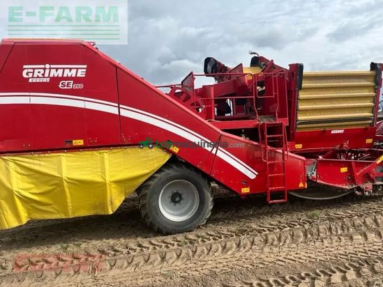 Cosechadora - arrancadora de patata - Grimme - se 260 ub nonstop
