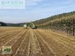 Cosechadora de Cereal - John Deere - 8400i