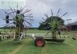 Henificador - Claas - liner 3500 comfort