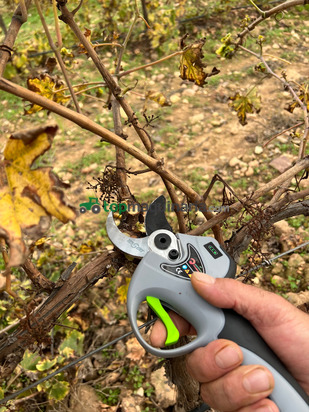 TIJERA DE PODA AGROTOOLS PHOENIX 1200 W