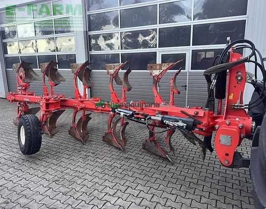 Arado - Maschio - unico l5 +vario nsh