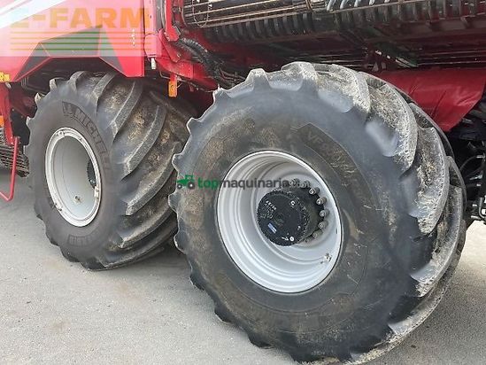 Cosechadora de Cereal - Grimme - rexor 6300 platinum