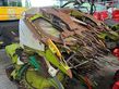 Cabezal - Claas - orbis 750