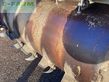 Remolqu esparcidor - Siloking - selfline 3024 voermengwagen