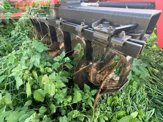 Grada de disco - Quivogne - cover crop