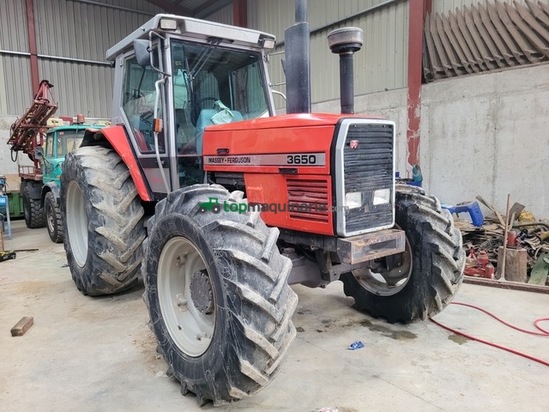 Tractor agrícola - Massey Ferguson - 3650 DT