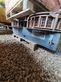 Cosechadora de Cereal - Case IH - seed terminator bouchard diffusion