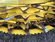 Cabezal - Kemper - 460 plus premium used