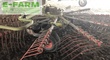 Rastrillo - Claas - liner 650 twin (607/030)