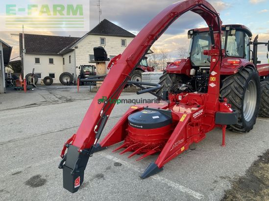 Cosechadora de Cereal -  - predator 1250, 2 reiher reihenunabhängig