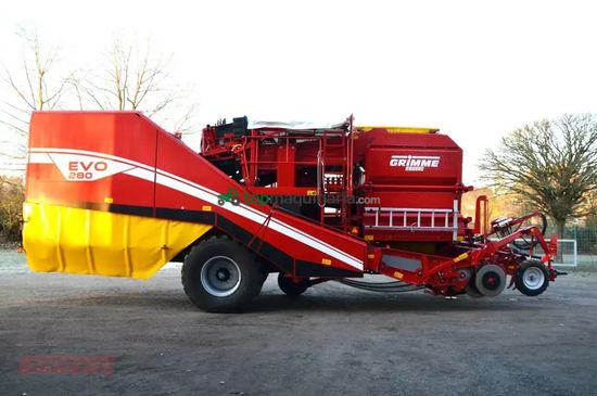 Cosechadora - arrancadora de patata - Grimme - evo 280 clodsep gen ii