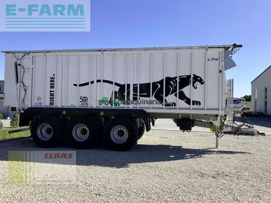 Cinta transportadora de forraje - Fliegl - asw 391 taurus fox tridem