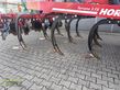 Cultivador - Horsch - terrano 3 fx rollflex