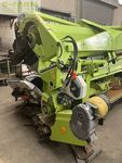 Cabezal - Claas - corio 875 Claas