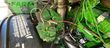 Cosechadora de Cereal - John Deere - 8500