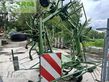 Henificador - Krone - kw 7.70/6x7